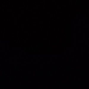 Meet your Posher, Elva